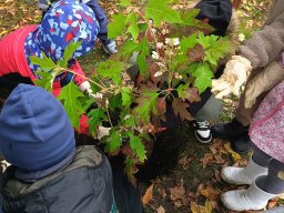 sciezka_sensoryczna 6